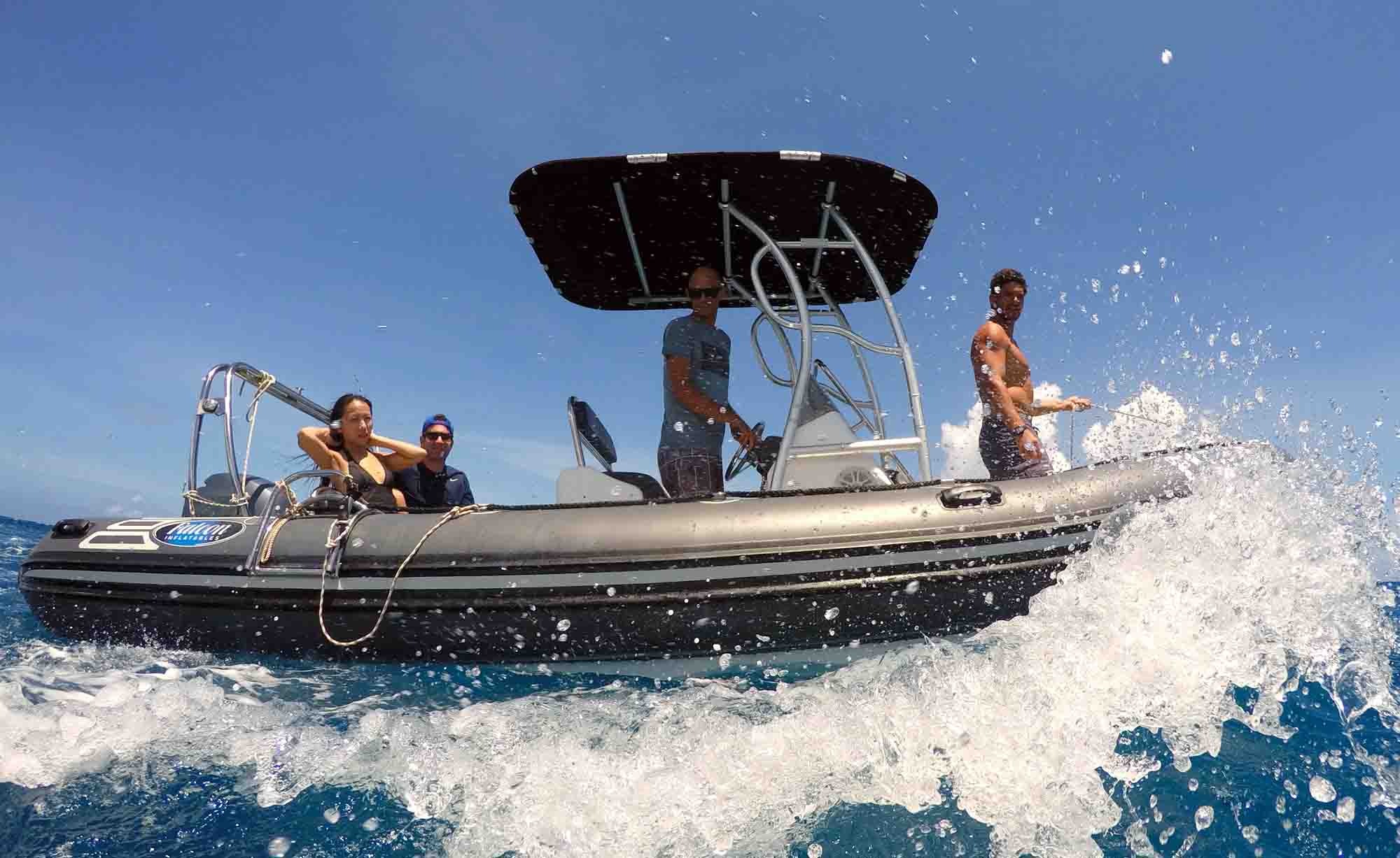 Best private Boat tours Moorea Snorkeling Marine Widlife Whales Sharks Moorea Ocean Adventures