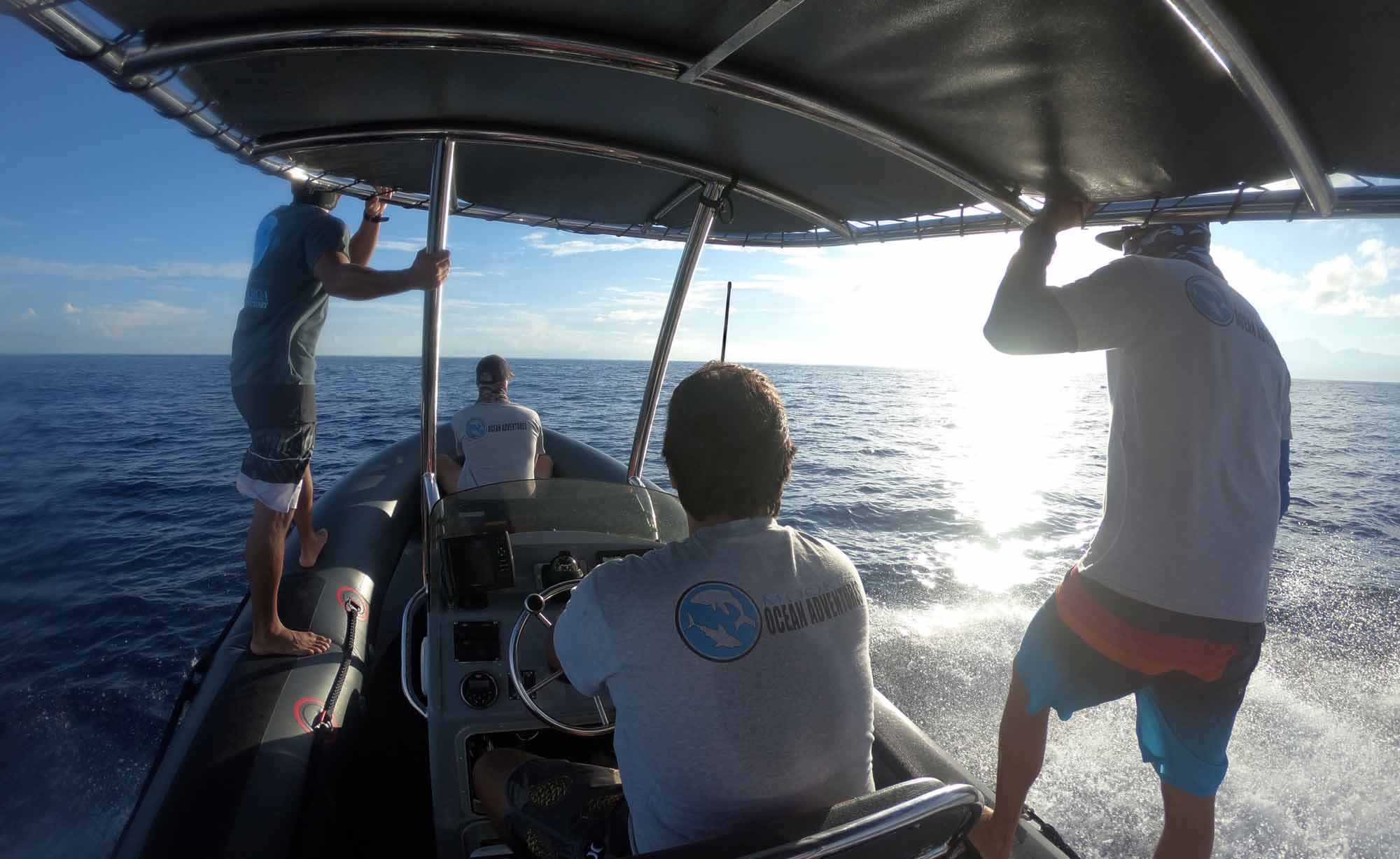 Best private Boat tours Moorea Snorkeling Marine Widlife Whales Sharks Moorea Ocean Adventures