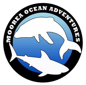 Moorea Ocean Adventures