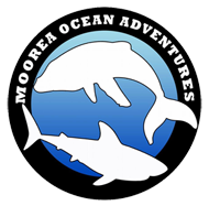 Moorea Ocean Adventures